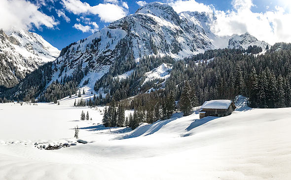 Lauenen | Luxury Chalet for sale - REF 247